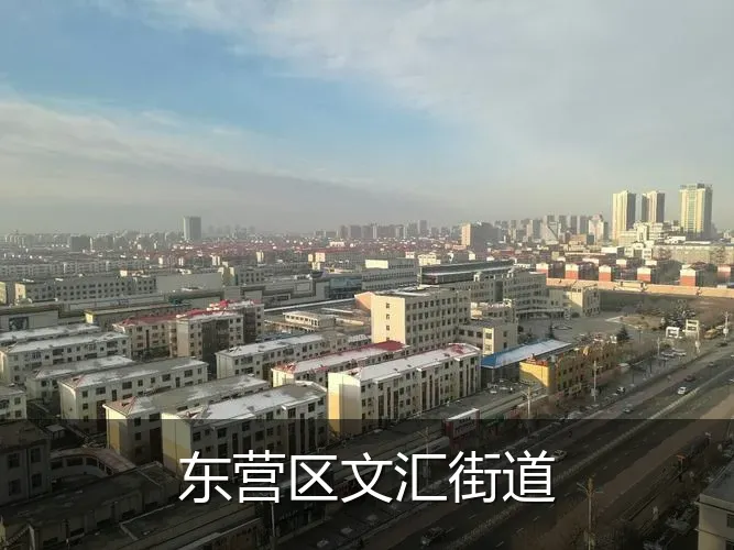 东营区文汇街道